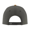 FD209422-TANN back
